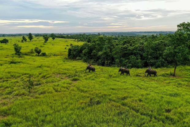 Wisata edukasi di Taman Nasional Way Kambas